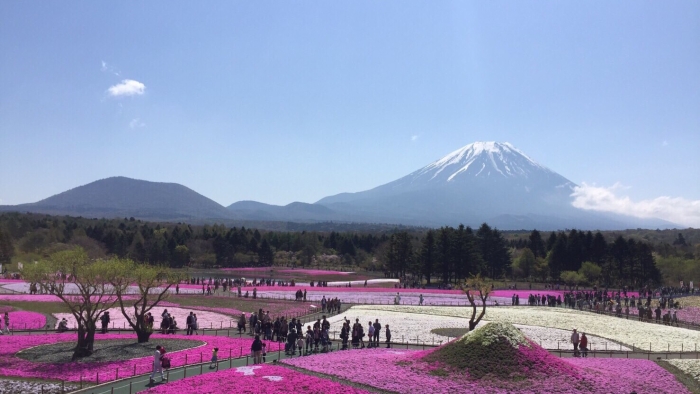 画像の代替テキストを入力ください。