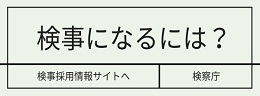 検事採用情報サイト（別ウィンドウで開く）